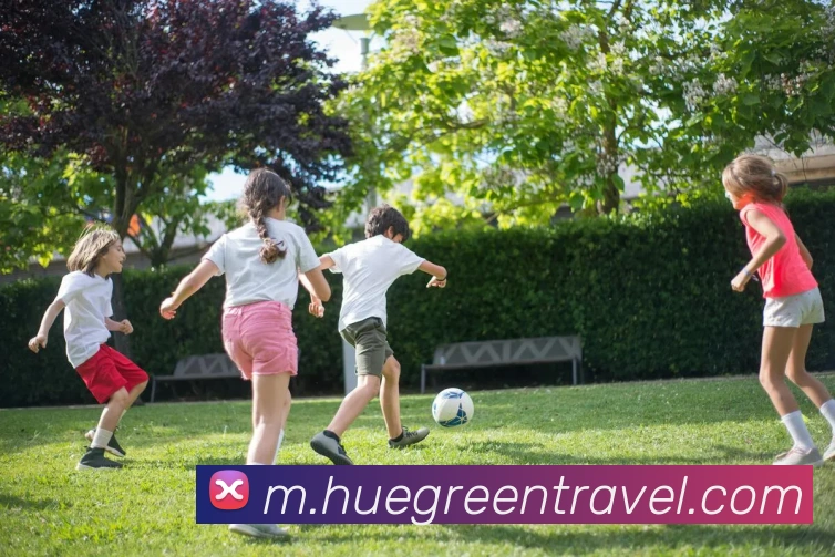 3344体育官方入口平台生态图