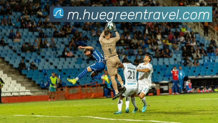 3344体育官方入口APP 封面图