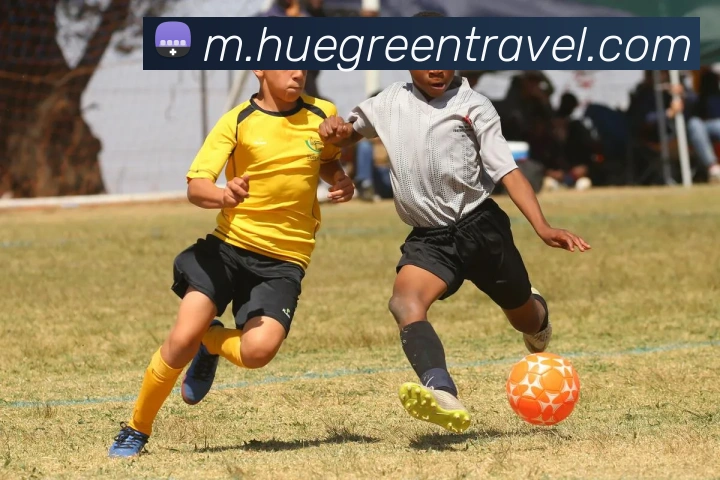 数据防护可视化